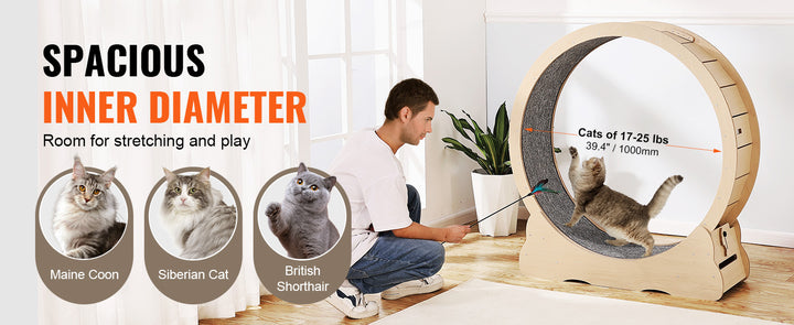 Indoor Cat Running Wheel with Detachable Carpet & Cat Teaser